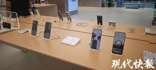 前5月南京經(jīng)濟(jì)穩(wěn)健增長，‘以舊換新’政策顯效，汽車與家電零售額大幅攀升